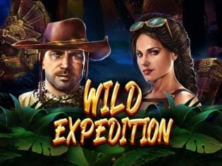 Wild Expedition game icon